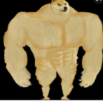 doge group NO CATS ALLOWED