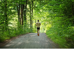 Forest Run!