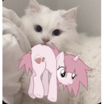 My favourite anime show MHA