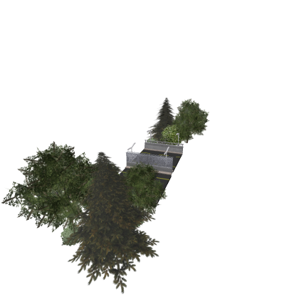 Street with trees