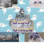 Seals United :3