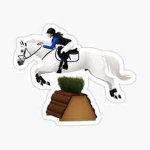 Figure wings equestrian accedemy!