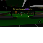 Brookhaven monkeys