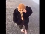MONKE AND BANANA!