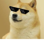 Official cool doge fan club