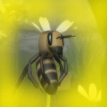 Insect Sandbox