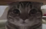 fluffpie