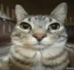 coolgroupforcoolpeopIe