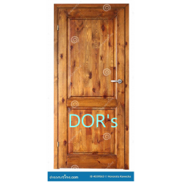 doors but its so bad its hardly even doors anymore