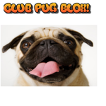 ClubPugBlox