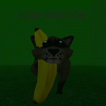 Eat a banana while being a raccoon while in a cage