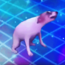 Dogey concert! ALPHA