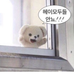 ʚROSEɞ