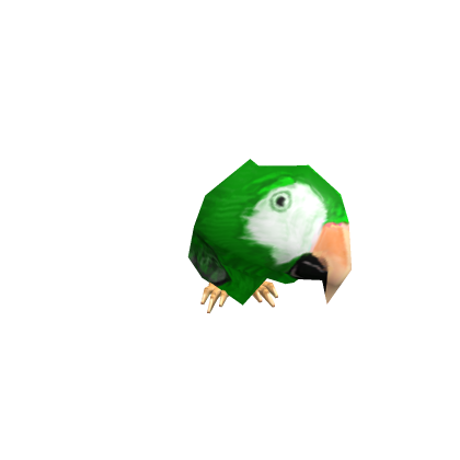 Senegal Parrot