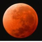【BM】 Bloodmoon