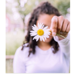 Daisy Meadow