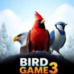 Bird Game 3