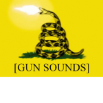 Mayflower Libertarian Party
