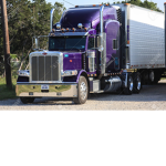 Purples United .