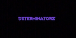 DETERMINATORZ