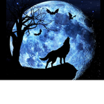 L like wolves but l don't like love