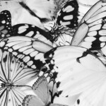 *:･ﾟ✧*:･ﾟ✧