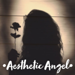 •Aesthetic Angel•