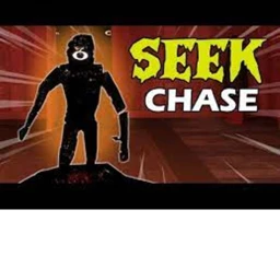 Seek Chase  icon