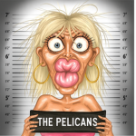 $ The Pelicans