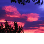 sunrise forlife
