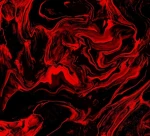 jesters lab Group Thumbnail