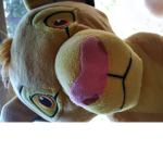 Tama and Simba's pride
