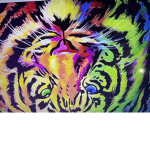 Rainbowtiger…