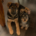 Nancy’s buddy’s