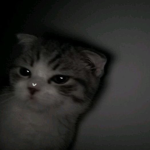 Zeraki