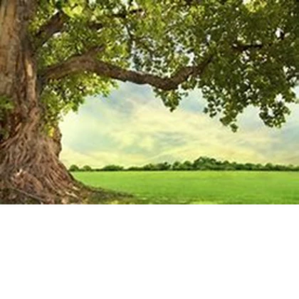 Bud tree! Roblox group icon