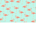 Fl_Mingo Gang