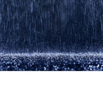 레인시 Rain [KR:RP]