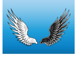 BLACK WINGS GROUP