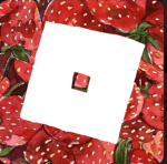 - shortcakez -