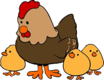 Le gang des poulet