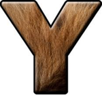 Yasso Gang