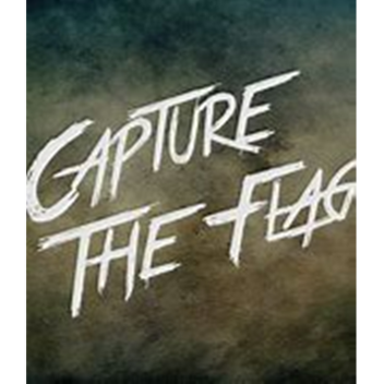 Capture the flag i guess????????