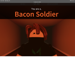 Bacon hair training
