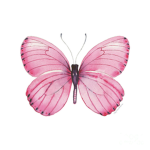 The pastel butterfly’s