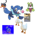 Ducks and pokemon fan club