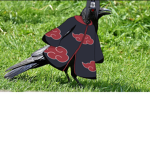 Fananimeoufanrobloxpeutrejondre
