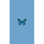 BVRDMMEM