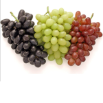 #Fruity squad's