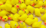 Fuzzy duck